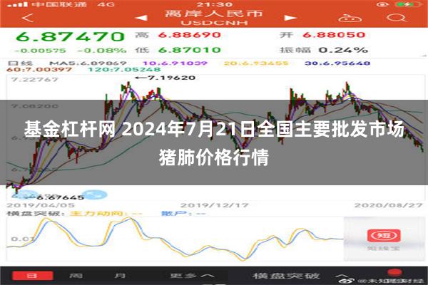 基金杠杆网 2024年7月21日全国主要批发市场猪肺价格行情