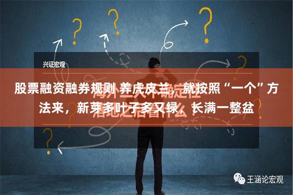 股票融资融券规则 养虎皮兰，就按照“一个”方法来，新芽多叶子多又绿，长满一整盆