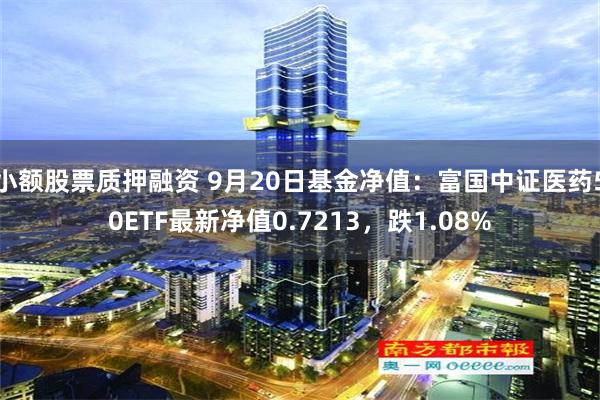 小额股票质押融资 9月20日基金净值：富国中证医药50ETF最新净值0.7213，跌1.08%