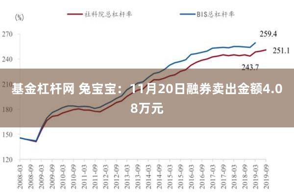 基金杠杆网 兔宝宝：11月20日融券卖出金额4.08万元