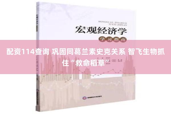 配资114查询 巩固同葛兰素史克关系 智飞生物抓住“救命稻草”