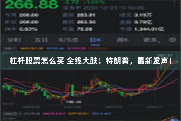 杠杆股票怎么买 全线大跌！特朗普，最新发声！